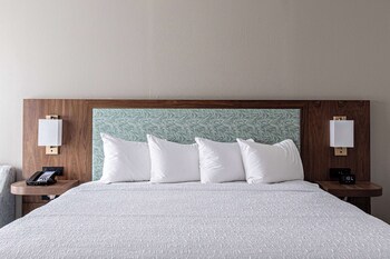 Down comforters, pillowtop beds, in-room safe, blackout drapes at Hampton Inn & Suites Charleston/West Ashley