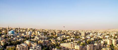 A cityscape with numerous buildings, a prominent mosque with a blue dome, and a flag on a tall structure.
