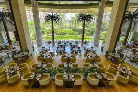 Daily buffet breakfast for a fee. The Grand New Delhi