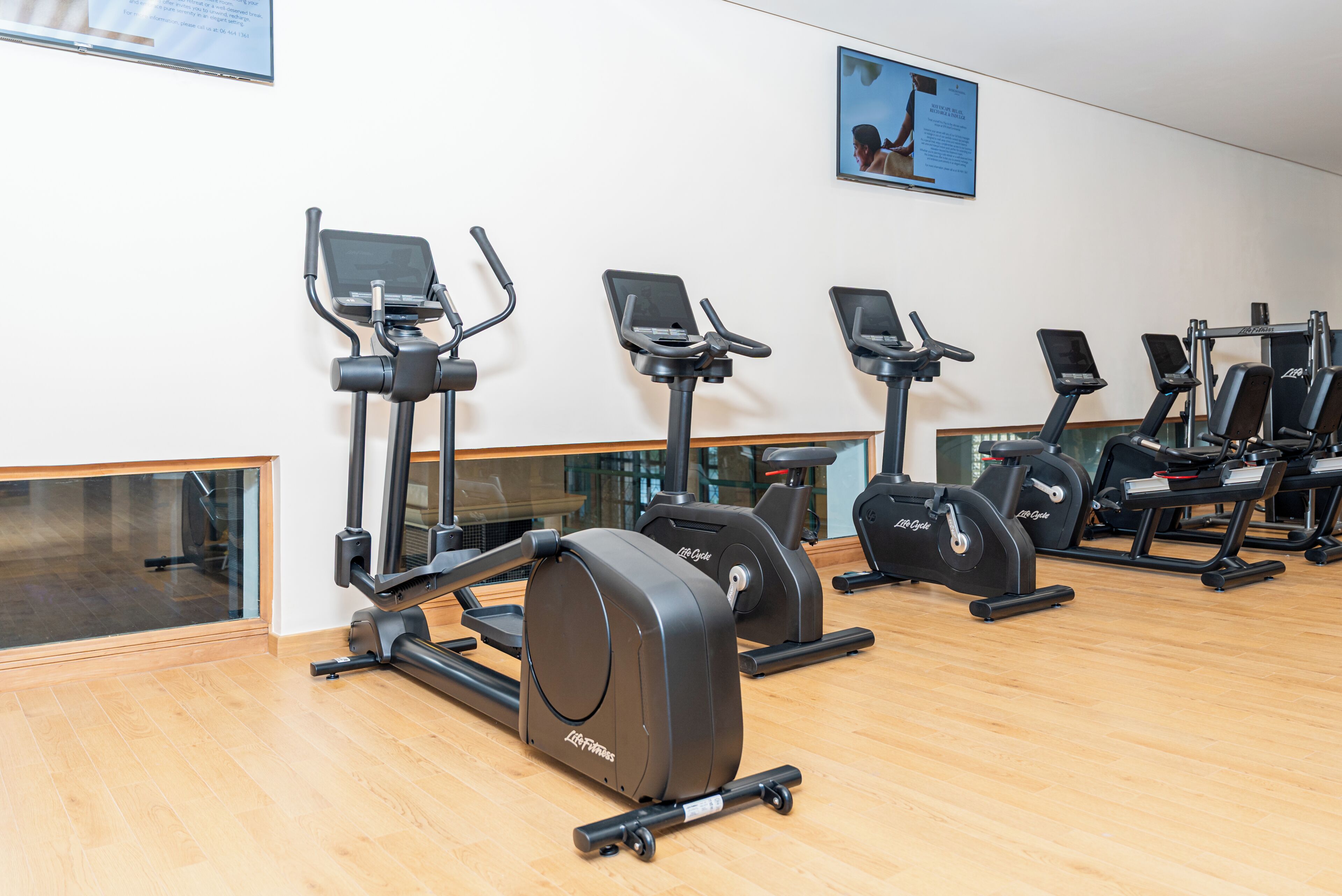 Un gimnasio con varias máquinas de cardio, incluyendo cintas de correr y elípticas, dispuestas en filas.
