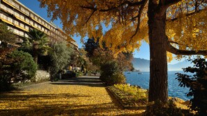 Un sendero bordeado de hojas amarillas, un edificio con un cartel que dice 'Royal Plaza', y vista al mar.
