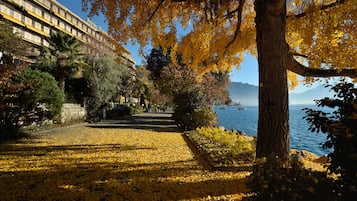 Lac