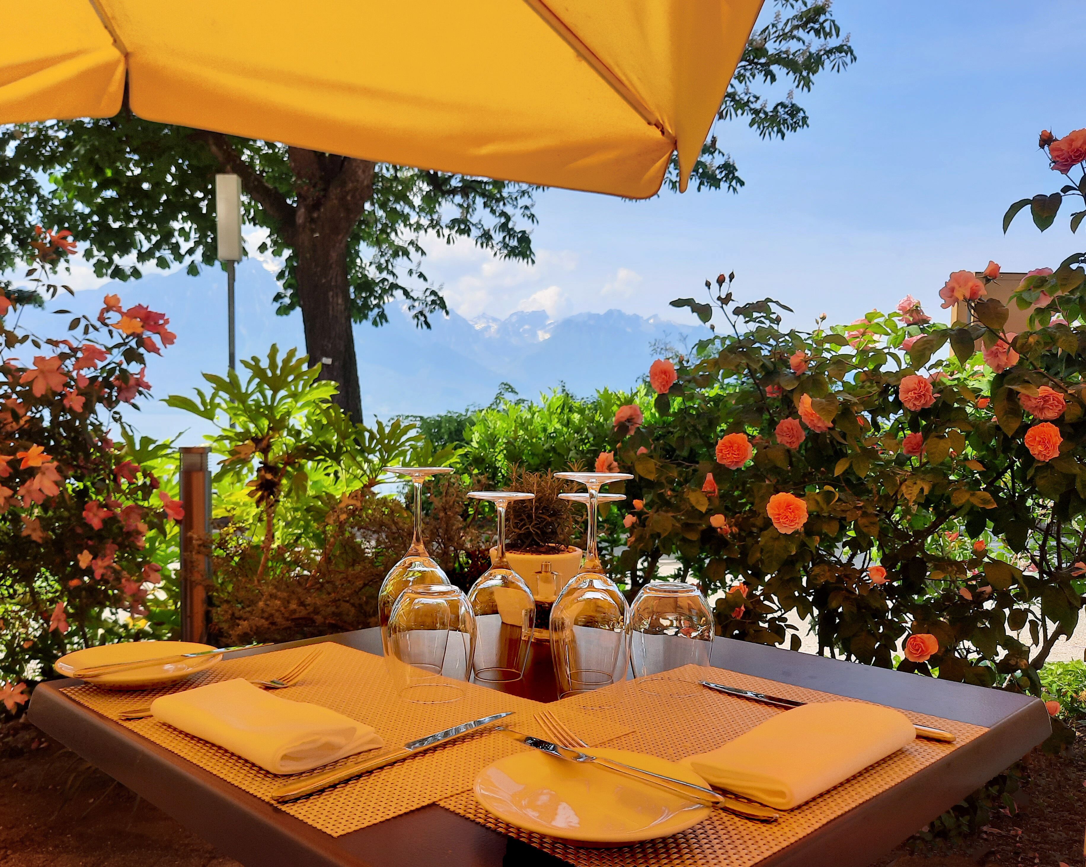 An outdoor dining setup with a table set for four, surrounded by lush greenery and a clear sky.