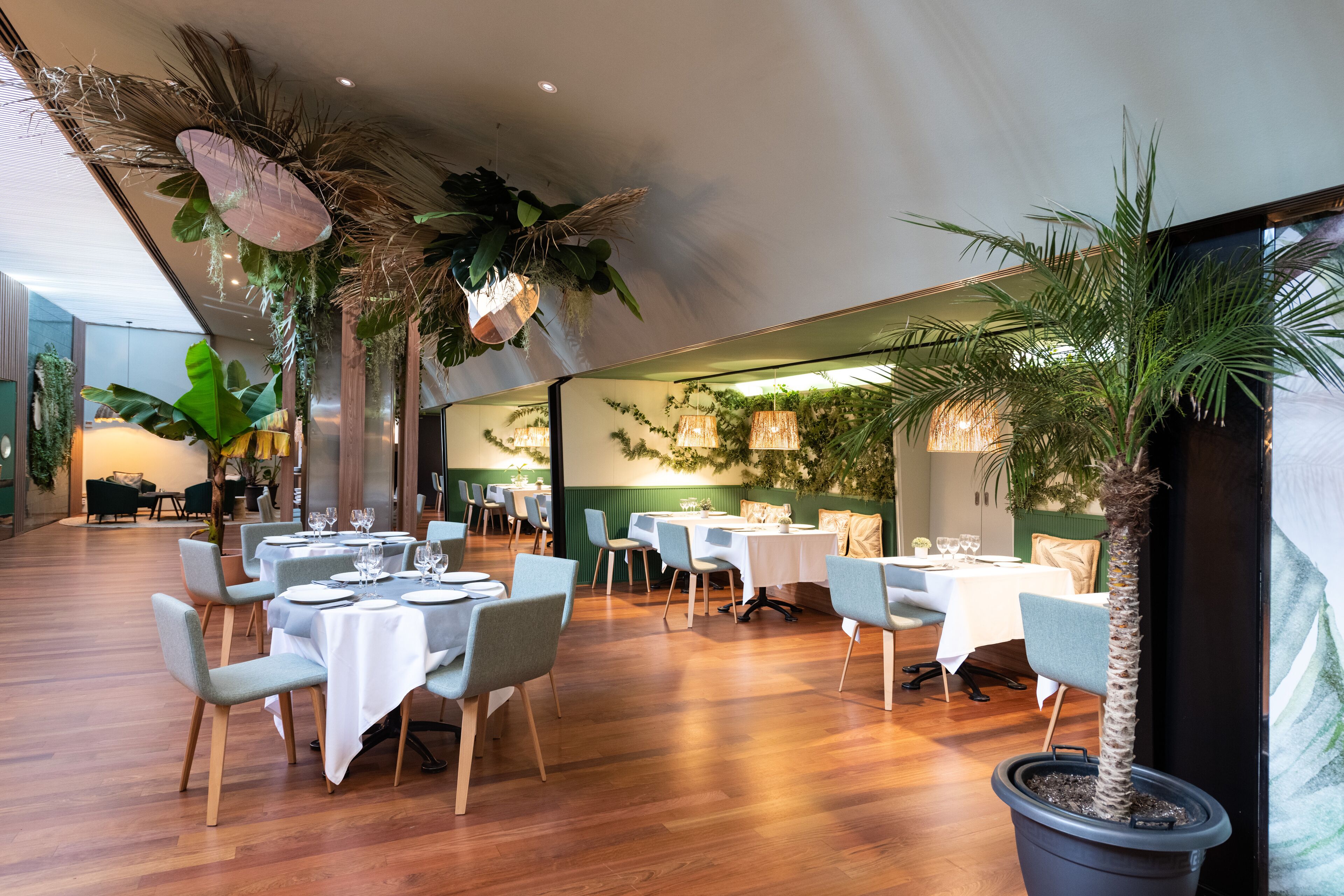 A restaurant with round tables, chairs, and a potted plant.