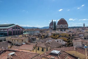 Vista desde la propiedad