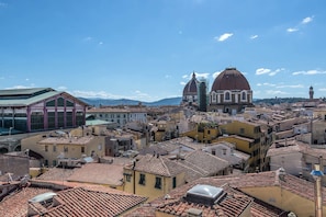 Vista desde la propiedad