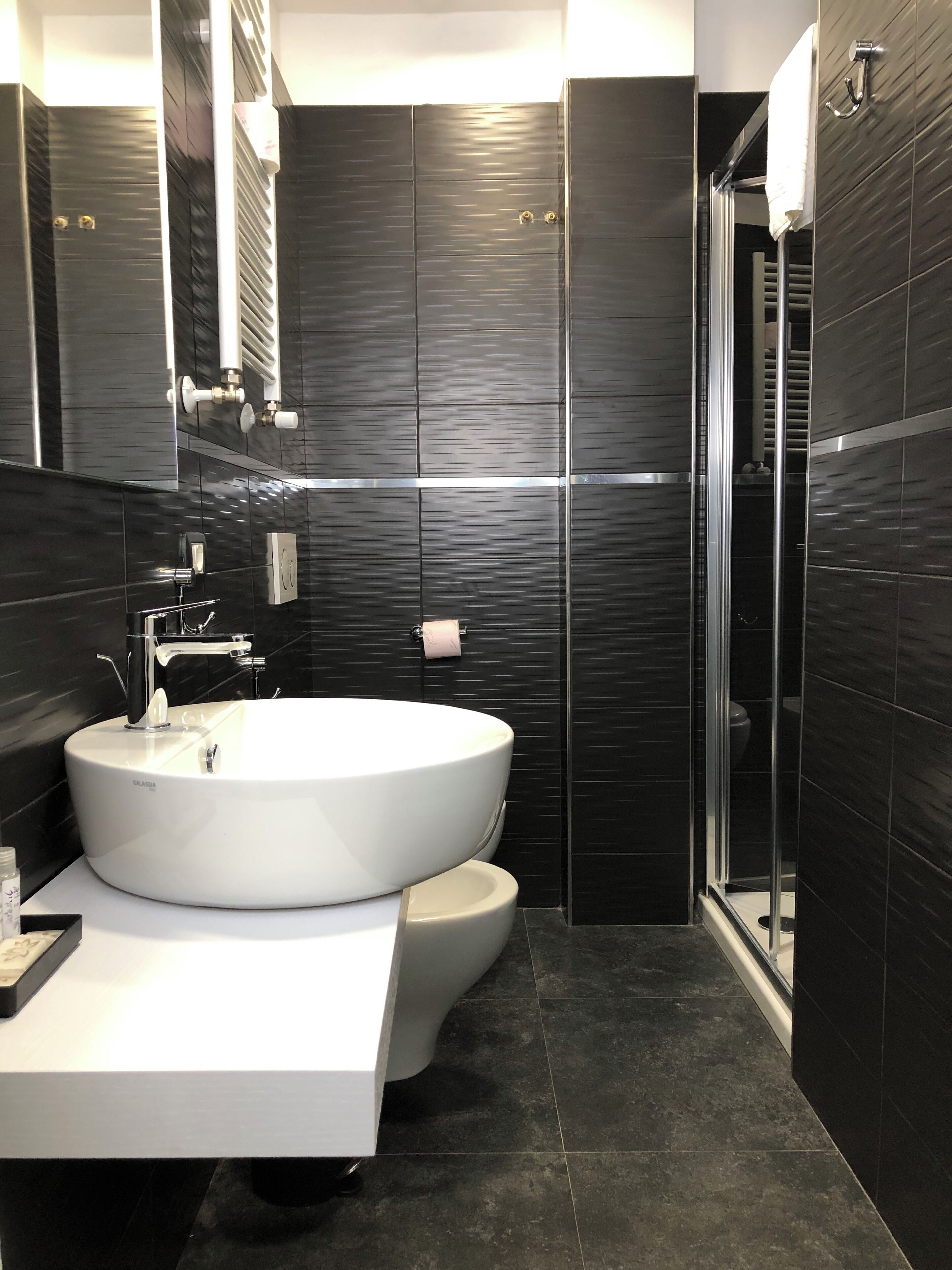 shower, free toiletries, hair dryer, bidet