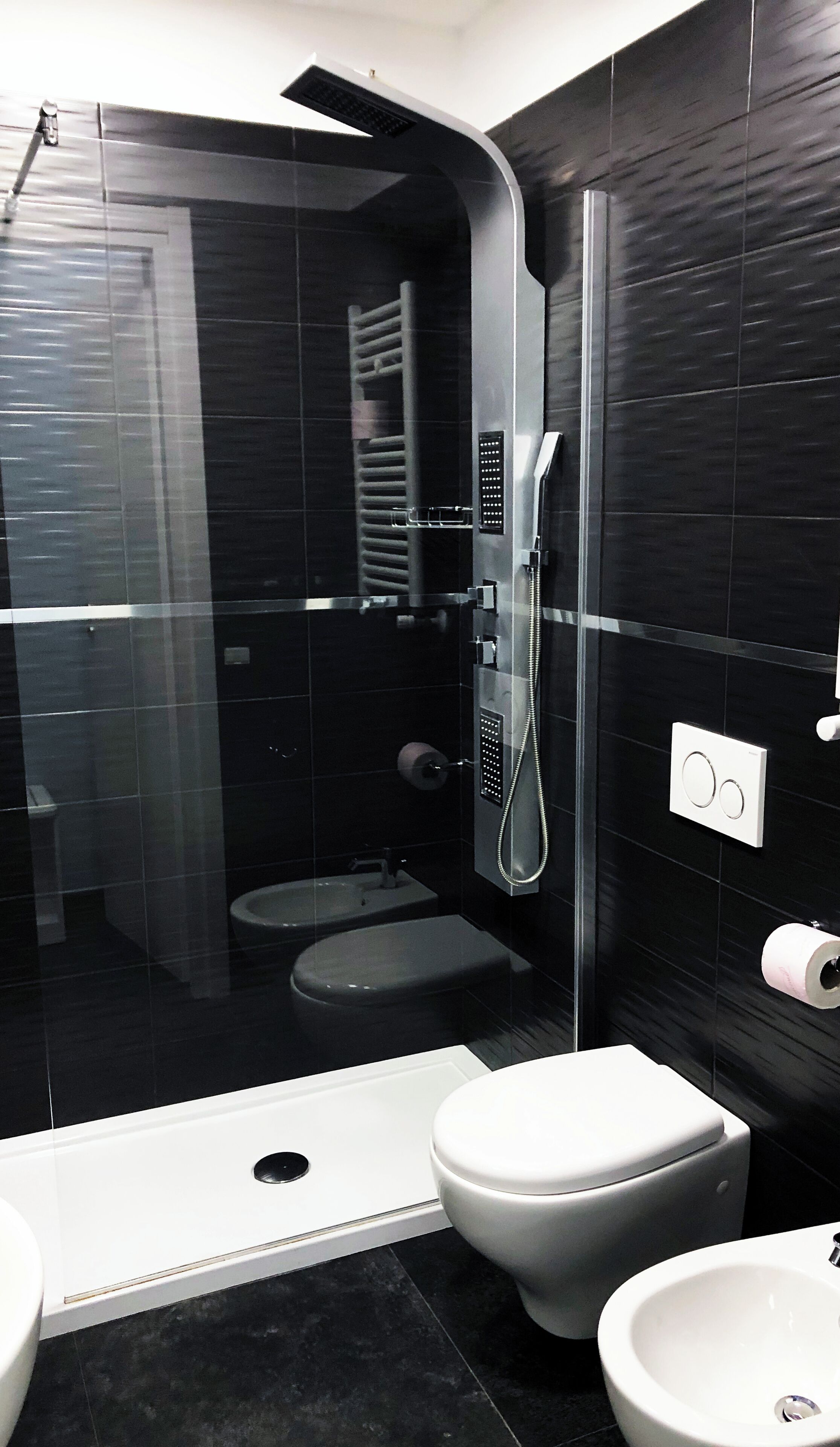 shower, free toiletries, hair dryer, bidet