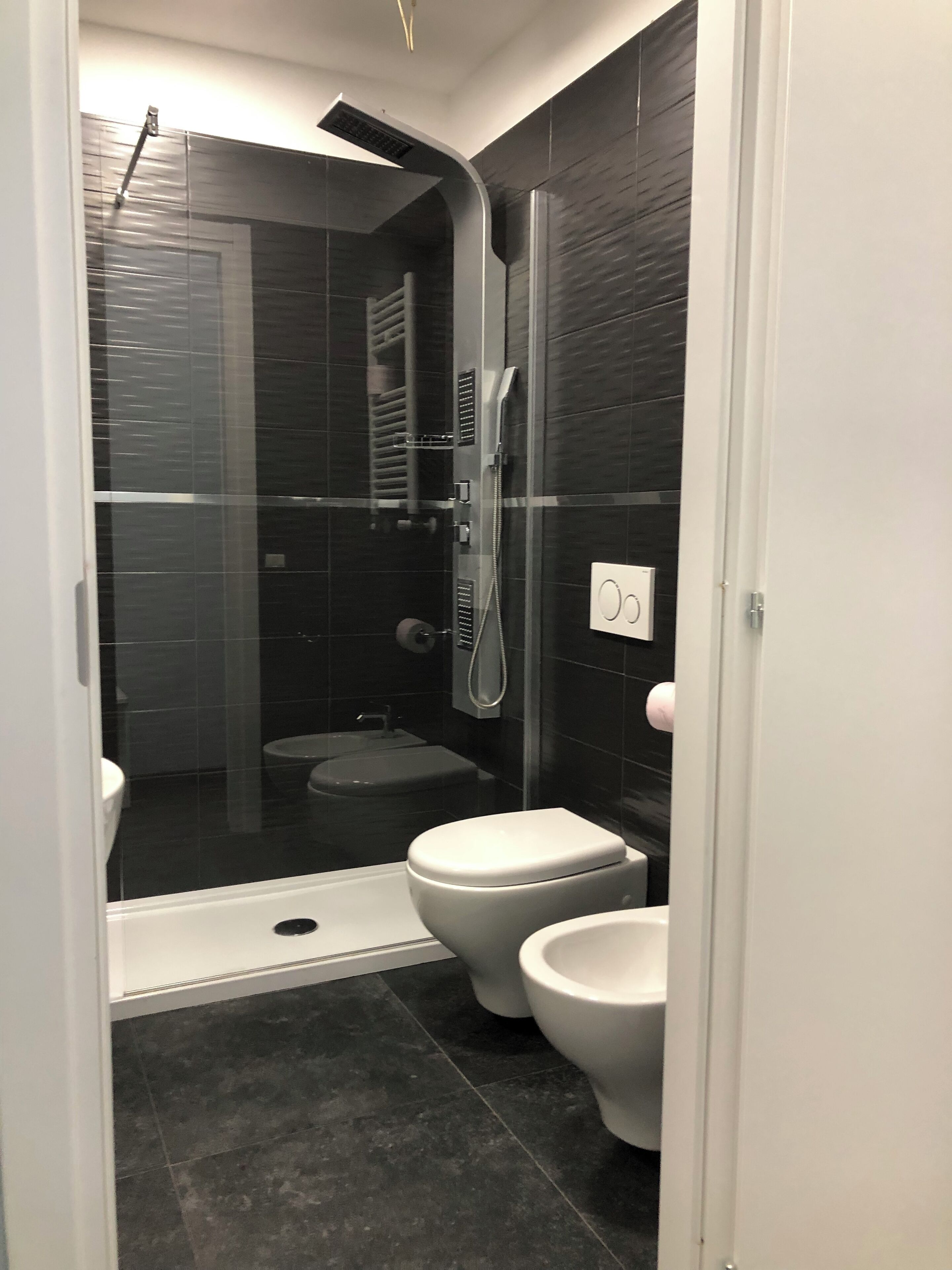 shower, free toiletries, hair dryer, bidet