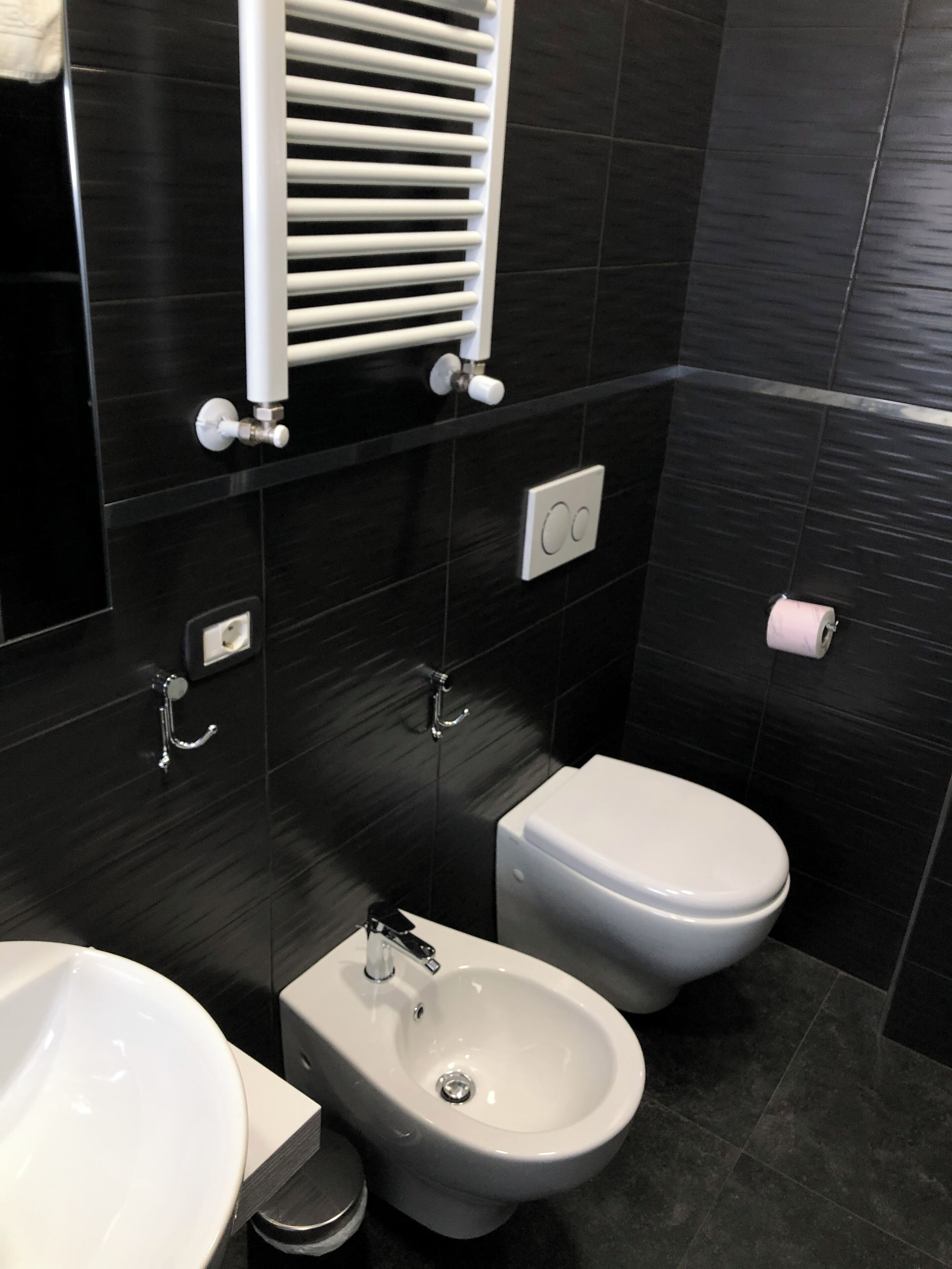 shower, free toiletries, hair dryer, bidet