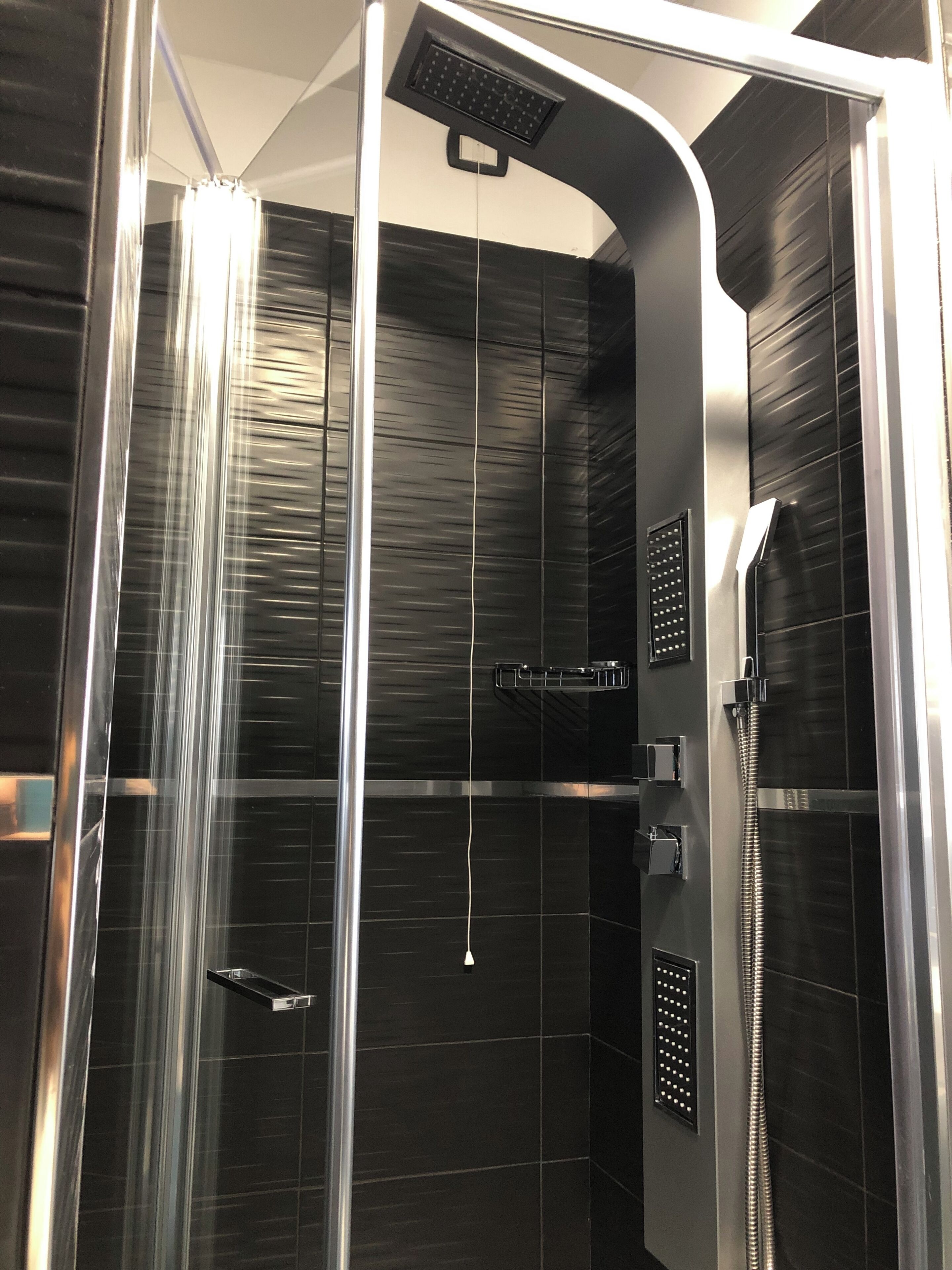 shower, free toiletries, hair dryer, bidet