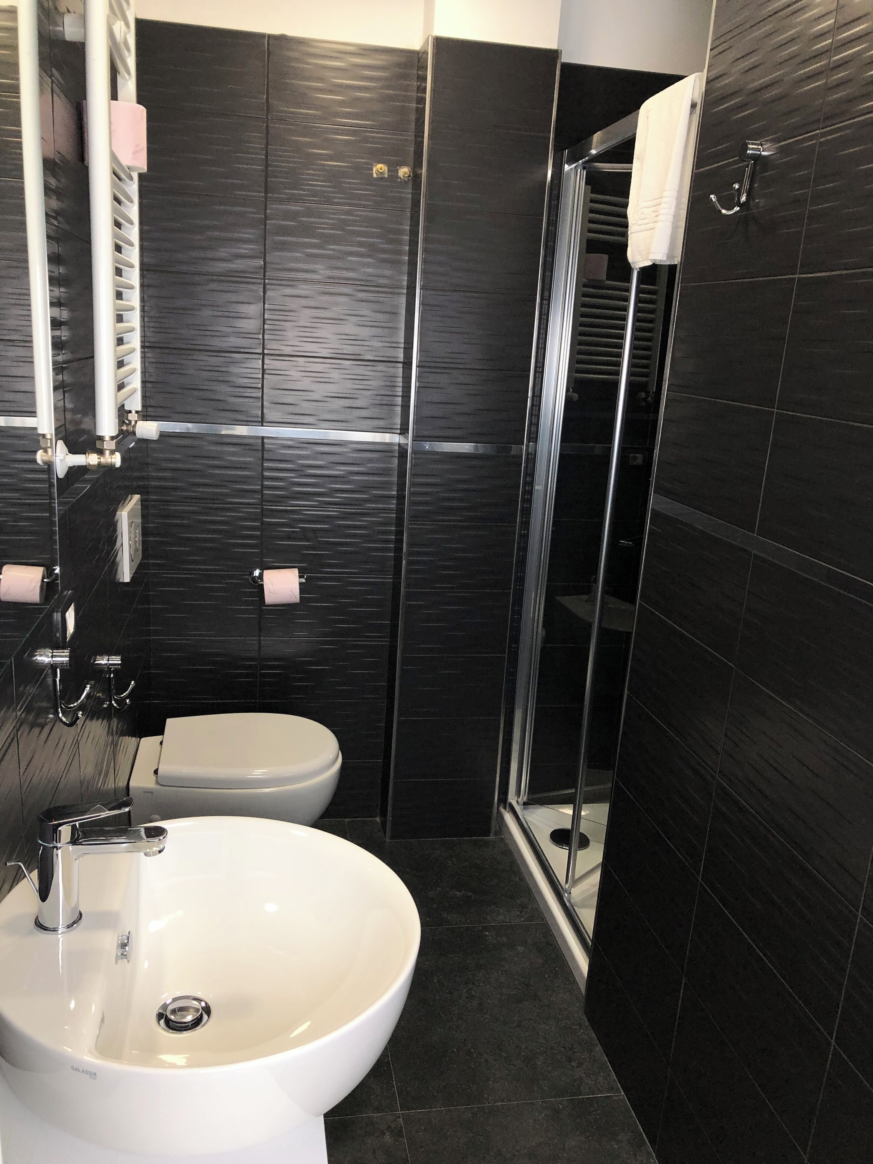 shower, free toiletries, hair dryer, bidet