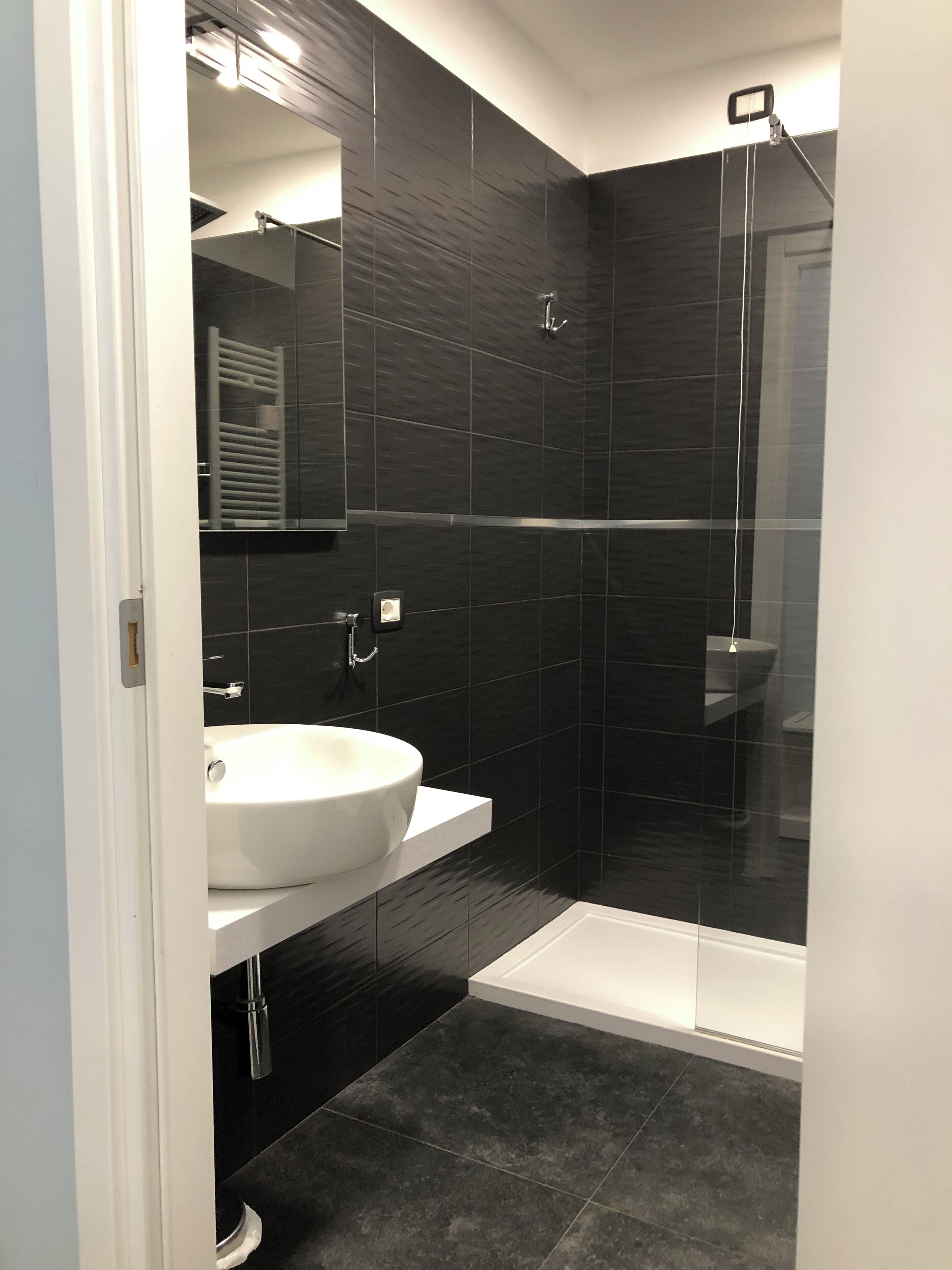 shower, free toiletries, hair dryer, bidet