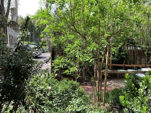 Vườn