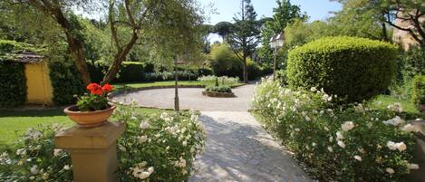 A paved garden pathway with white roses and a potted red flower.