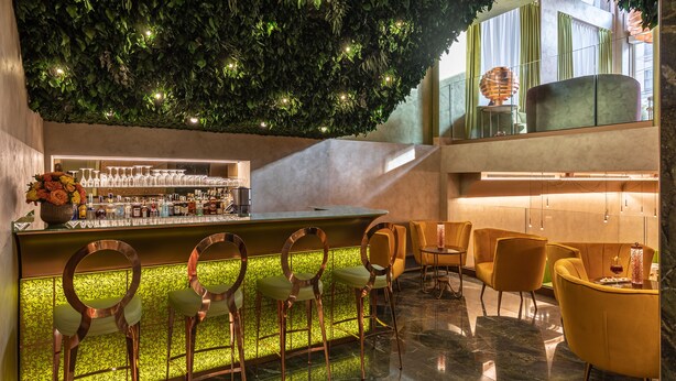 Een bar met een groene bladerdak, barstoelen en een bar onderaan met een verlicht, groen achtergrondgedeelte.