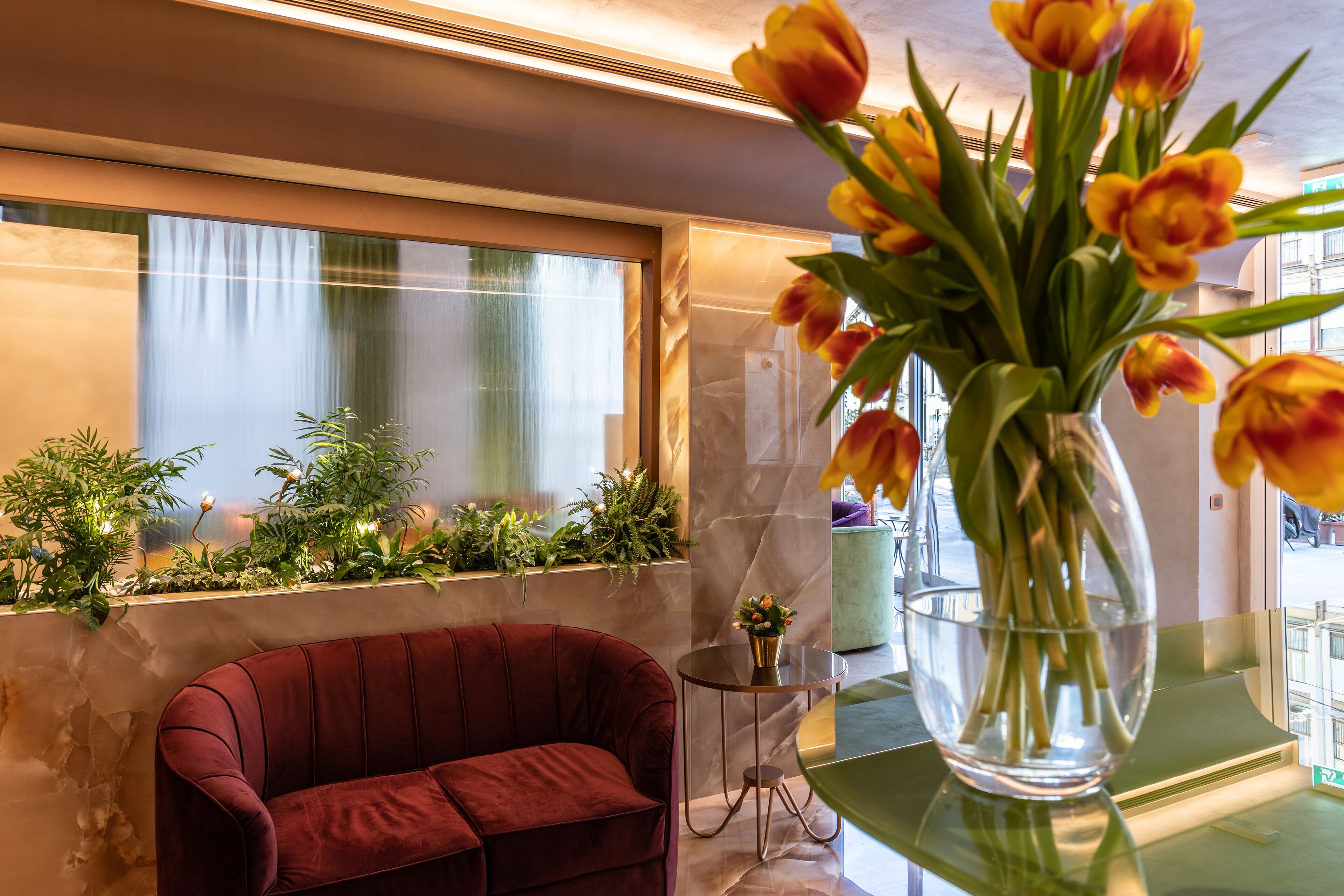 Foto - Hotel Ariston