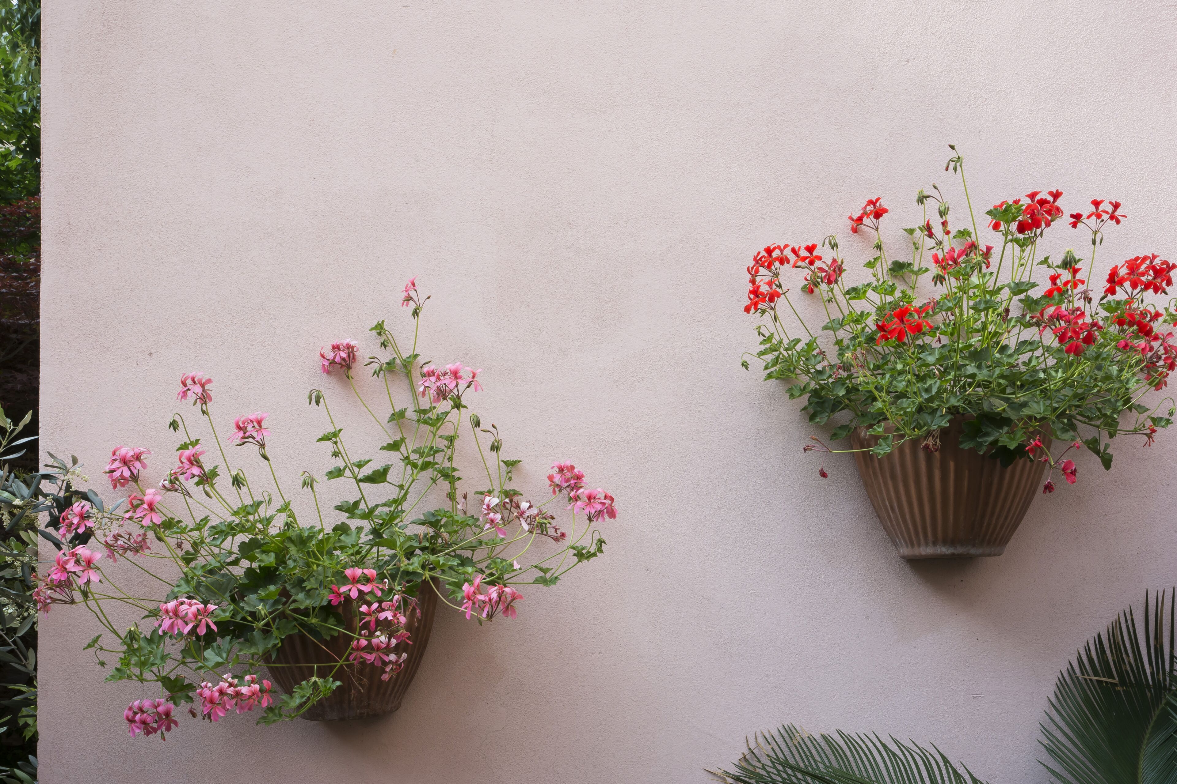 Foto - Hotel Vittoria