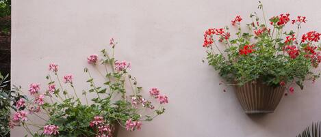 Two hanging flower pots with pink and red flowers against a plain wall.