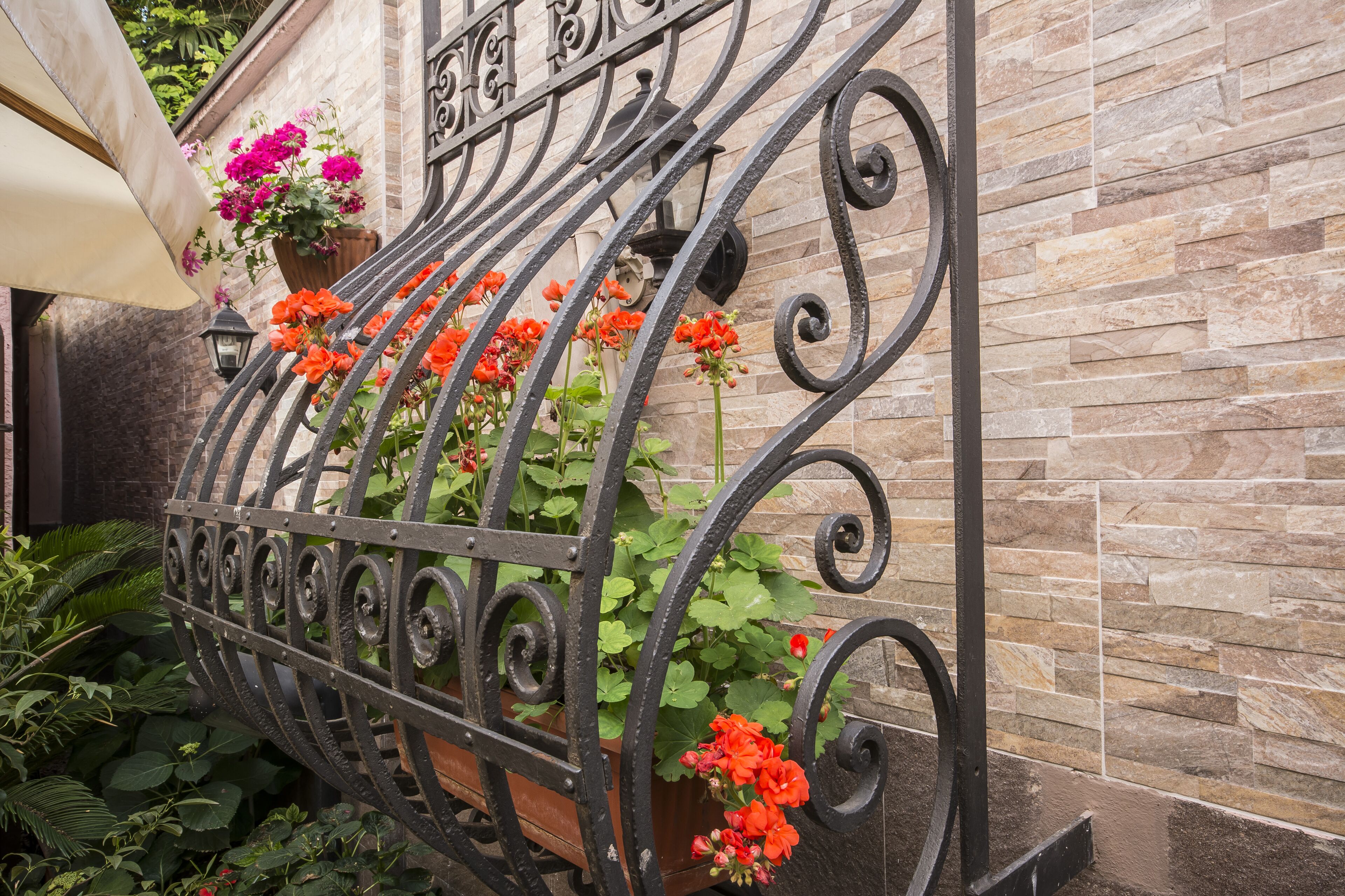 Foto - Hotel Vittoria