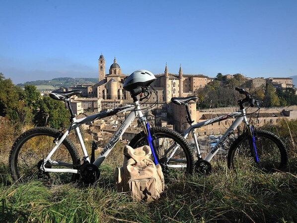 Deux vélos sont garés sur une pelouse, avec un bâtiment historique en arrière-plan.