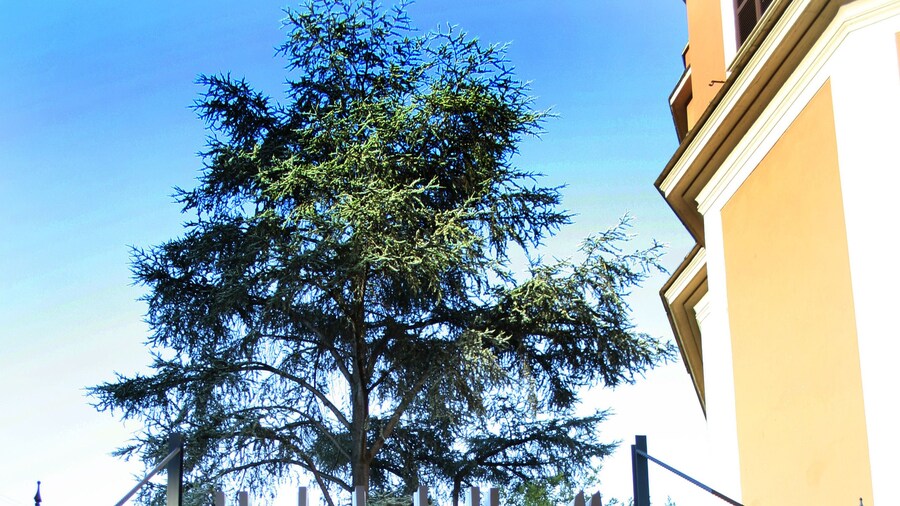 ホテル デル ミューズ