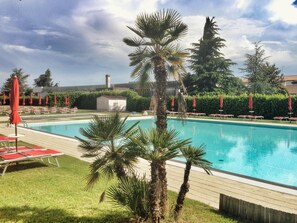 A swimming pool with lounge chairs and umbrellas, surrounded by palm trees and greenery.