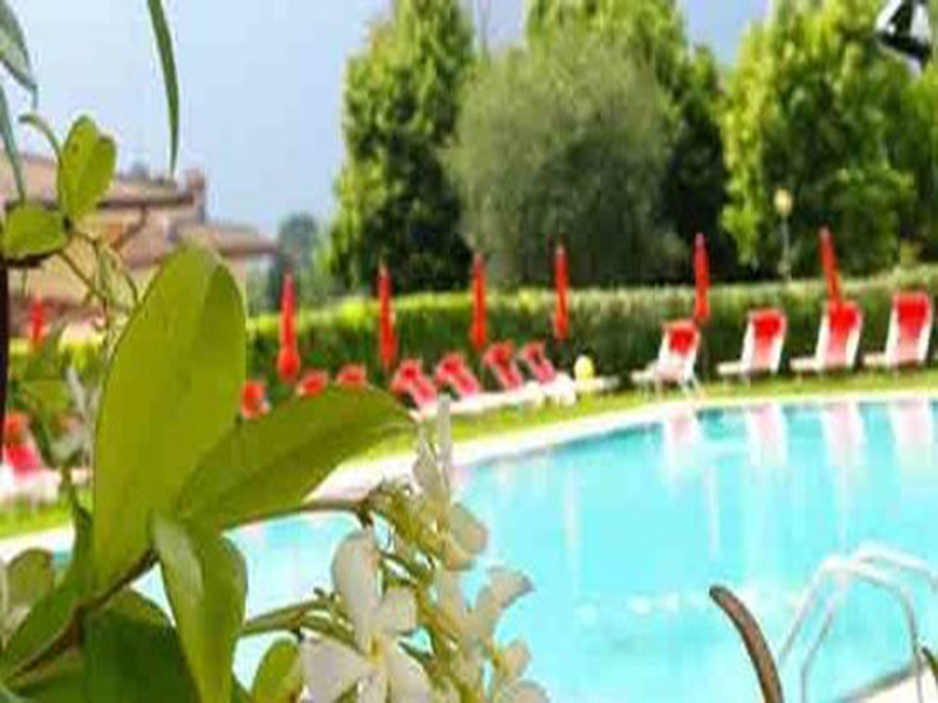 outdoor pool, pool umbrellas, pool loungers