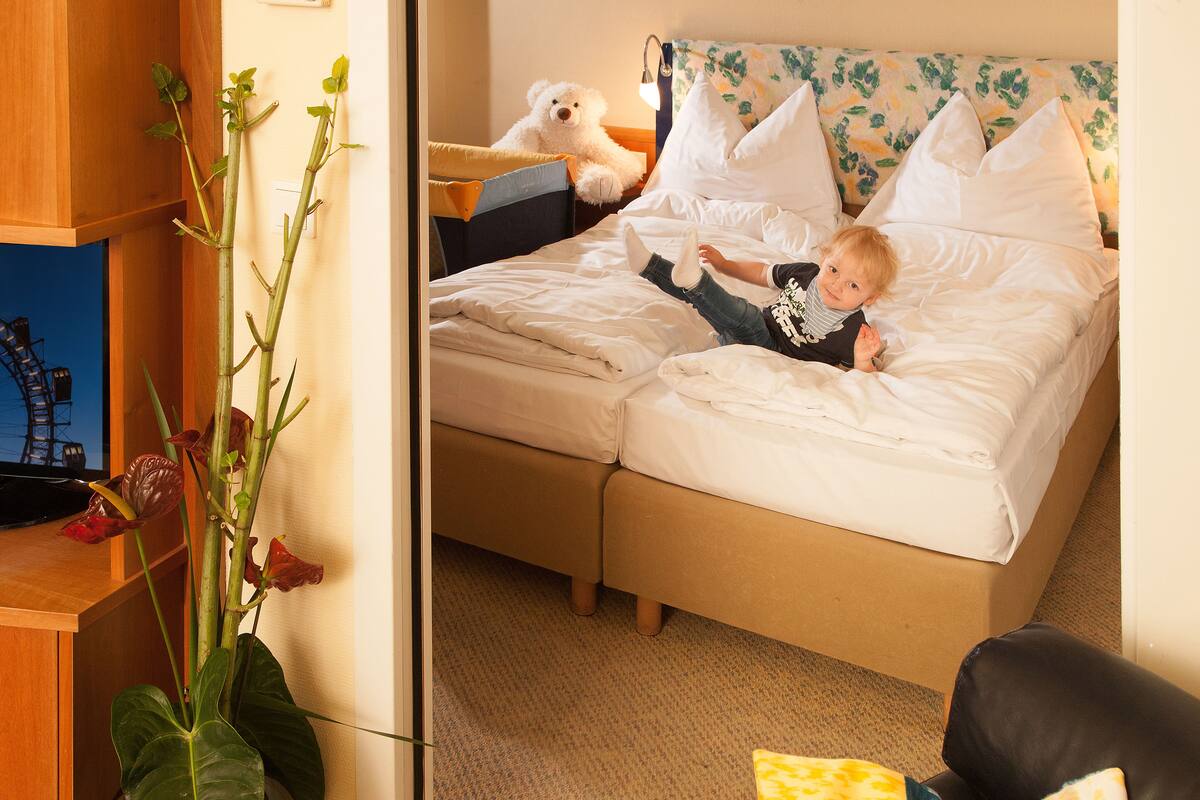 1 chambre, literie hypoallergénique, minibar