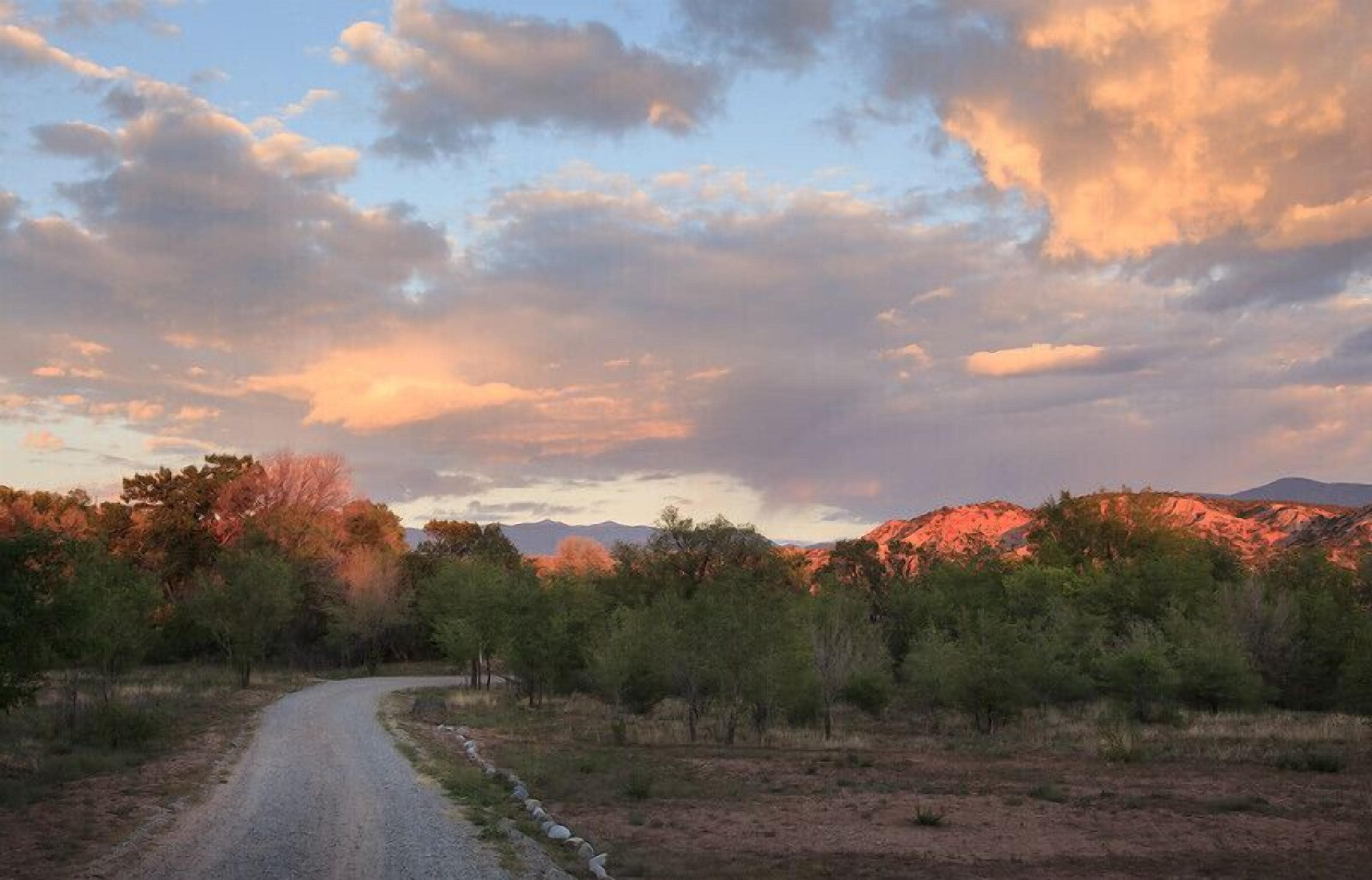 A gravel road leading through a natural landscape with trees and mountains in the background.