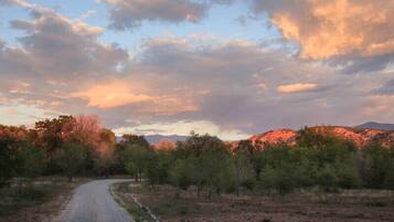 A gravel road leading through a natural landscape with trees and mountains in the background.