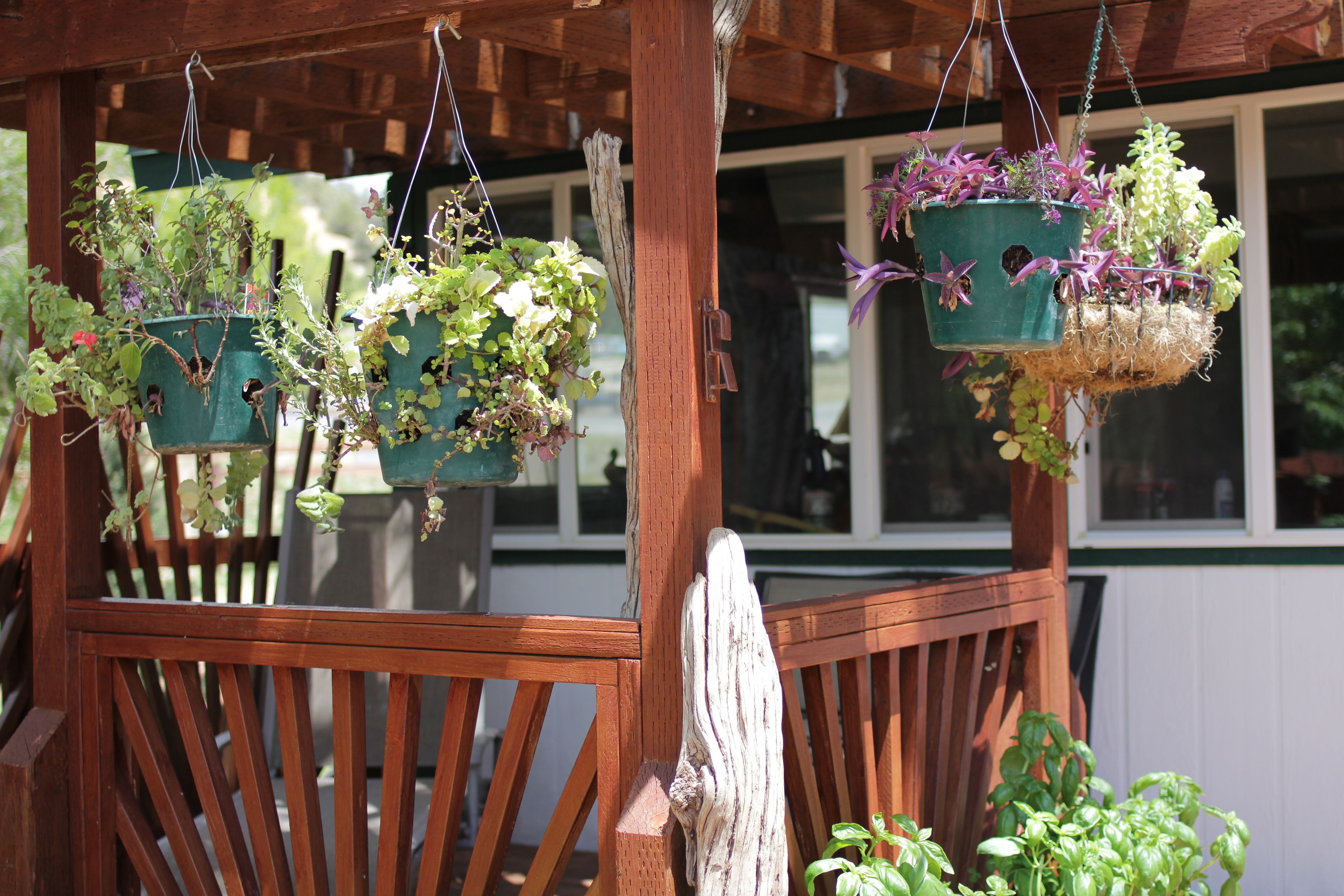 A wooden pergola with hanging planters containing various plants.