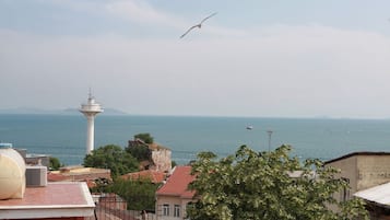 Blick auf die Küste mit einem Leuchtturm, Gebäuden und einer fliegenden Möwe.