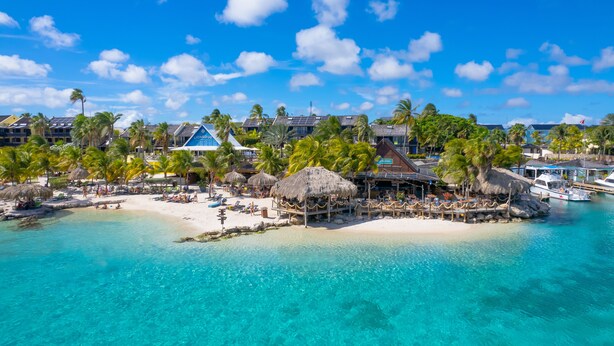 A tropical resort with a beach, palm trees, and thatched-roof structures. - LionsDive Beach Resort (Willemstad)