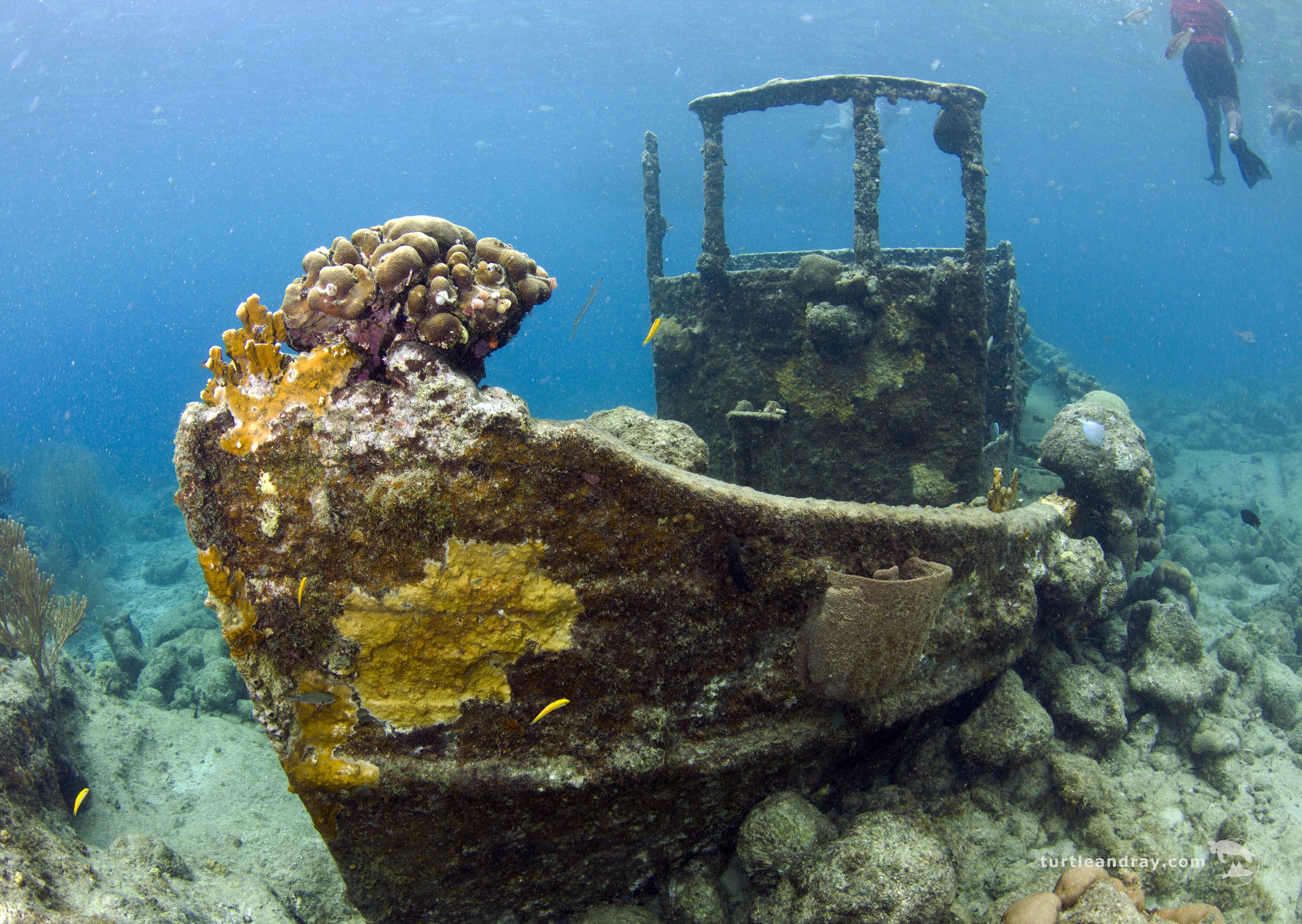 Un naufragio submarino cubierto de coral con un buzo al fondo.