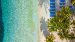 A beach with clear turquoise water, white sand, and blue lounge chairs arranged in rows. - LionsDive Beach Resort (Willemstad)