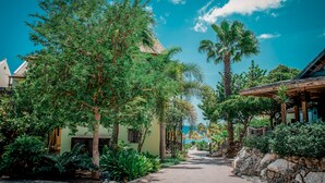 A paved pathway flanked by lush greenery and buildings with traditional architecture. - LionsDive Beach Resort (Willemstad)