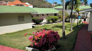 Un patio con un sendero, palmeras y arbustos florecientes.