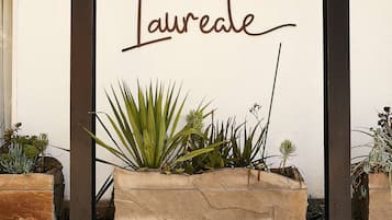 Bar (sur place)
