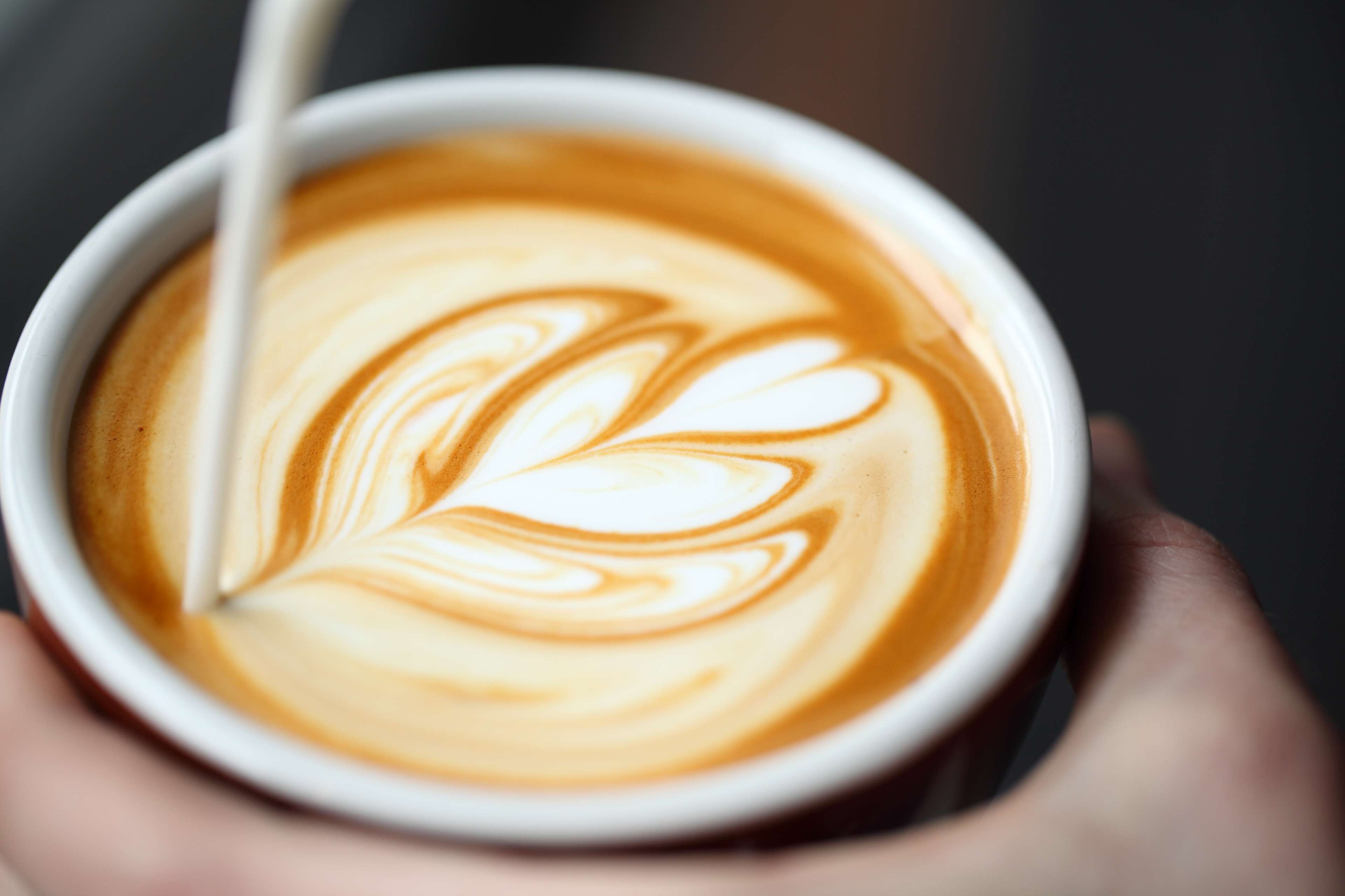 Foto - The Laurel Inn, part of JdV by Hyatt