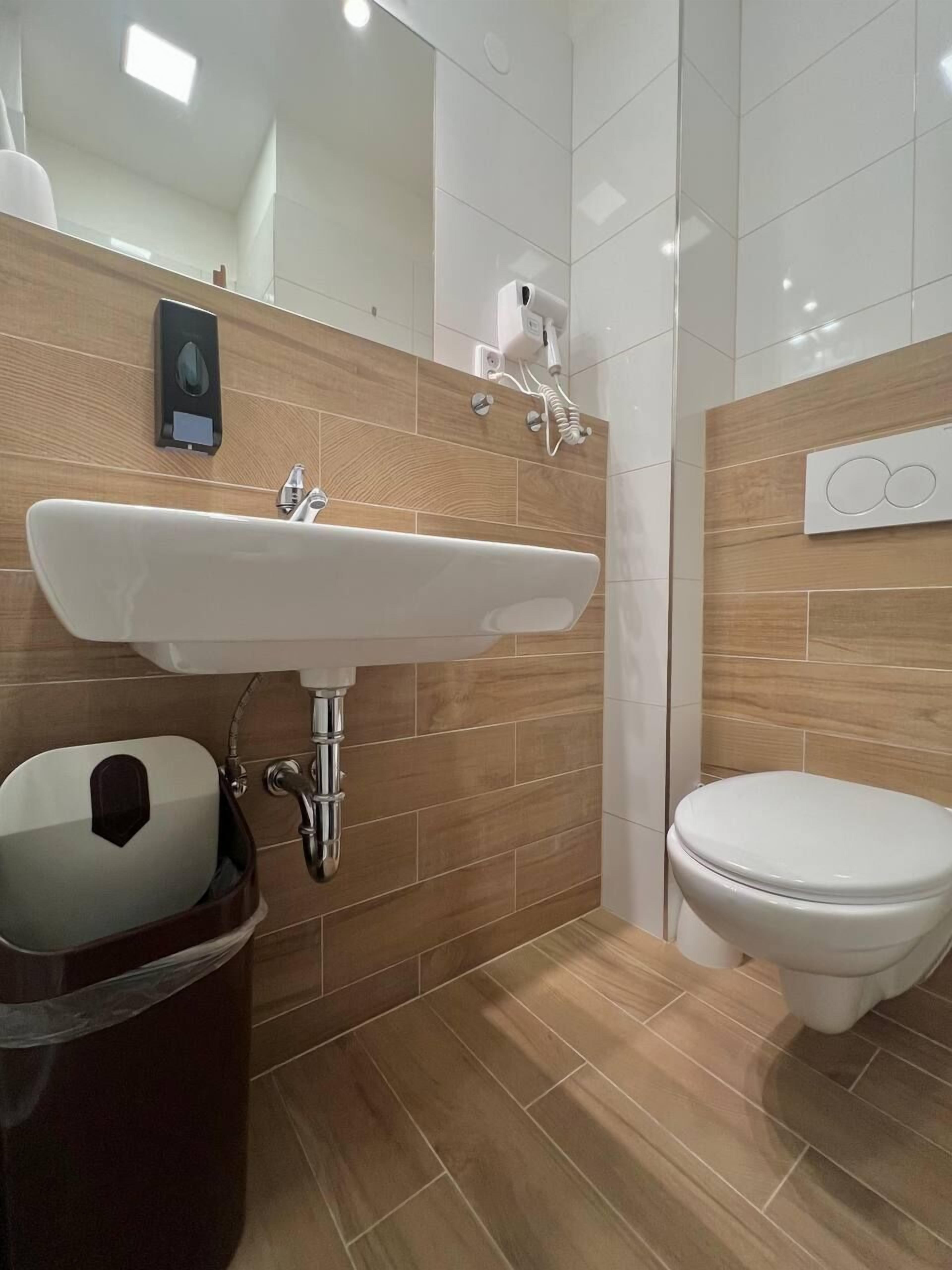 A bathroom with a white sink, a toilet, a mirror, and a trash bin.