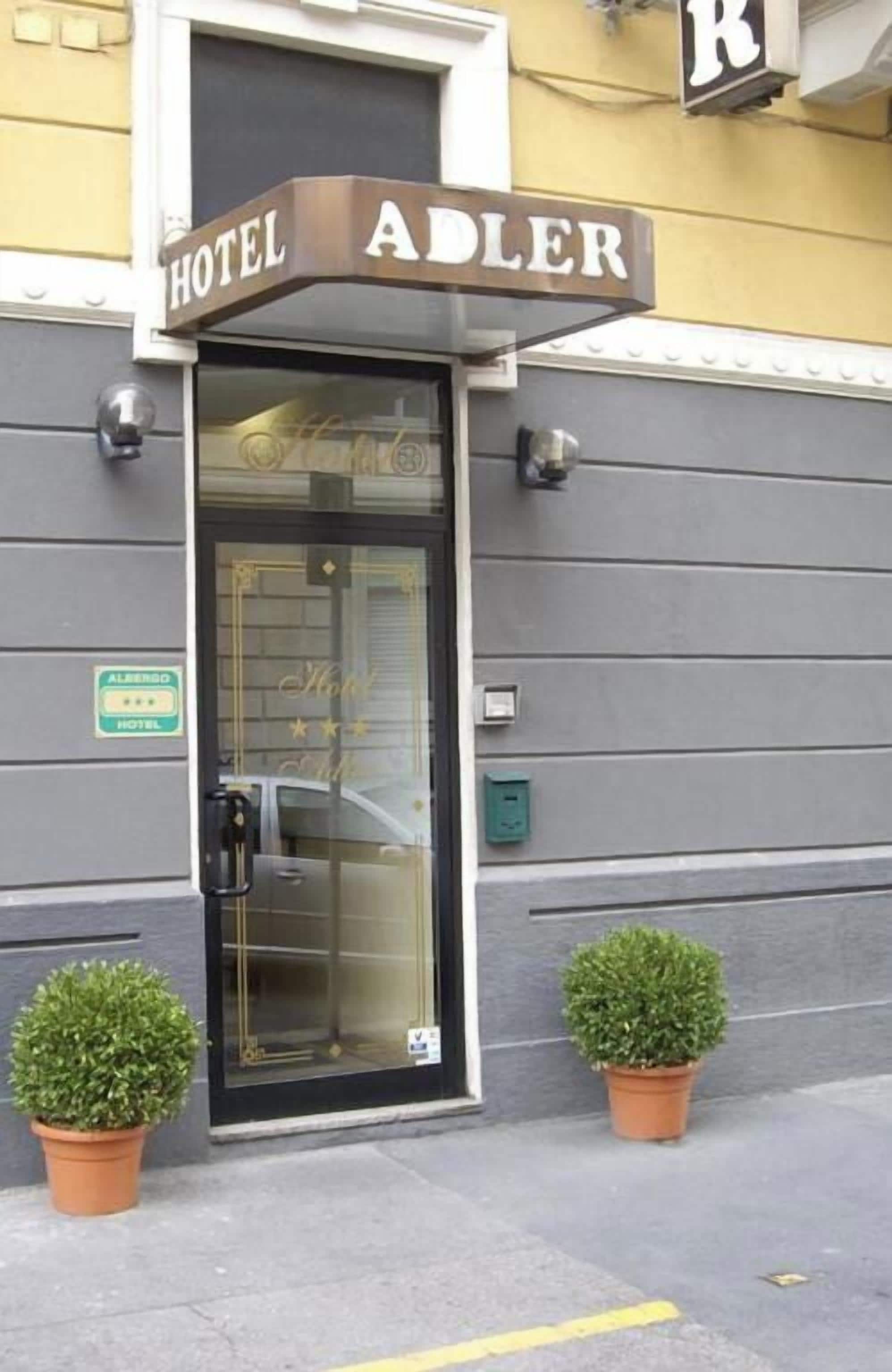 A hotel entrance with a sign reading 'HOTEL ADLER,' a glass door, and two potted plants on either side.