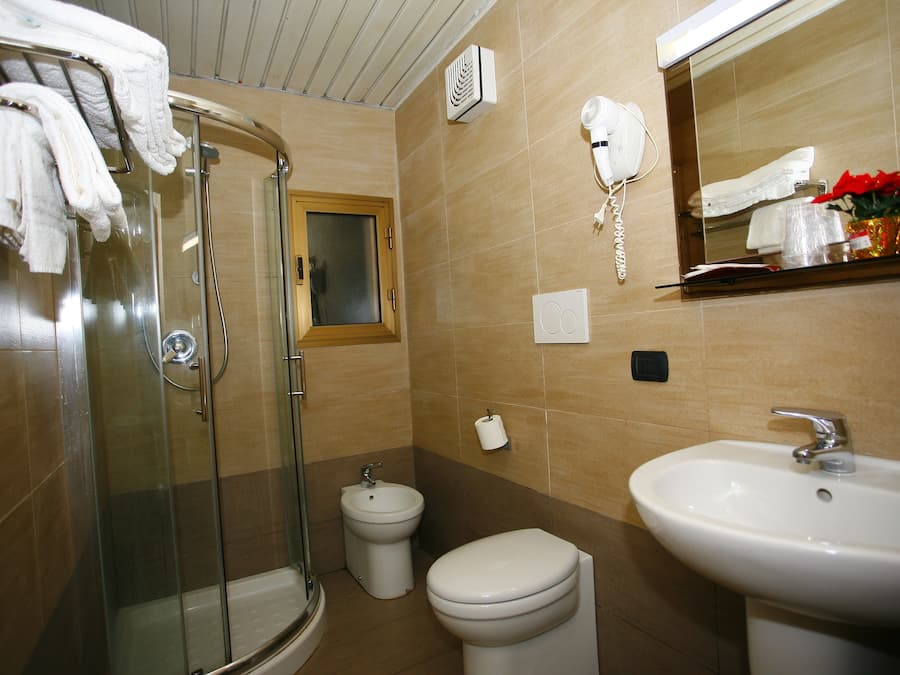 Shower, free toiletries, hair dryer, towels