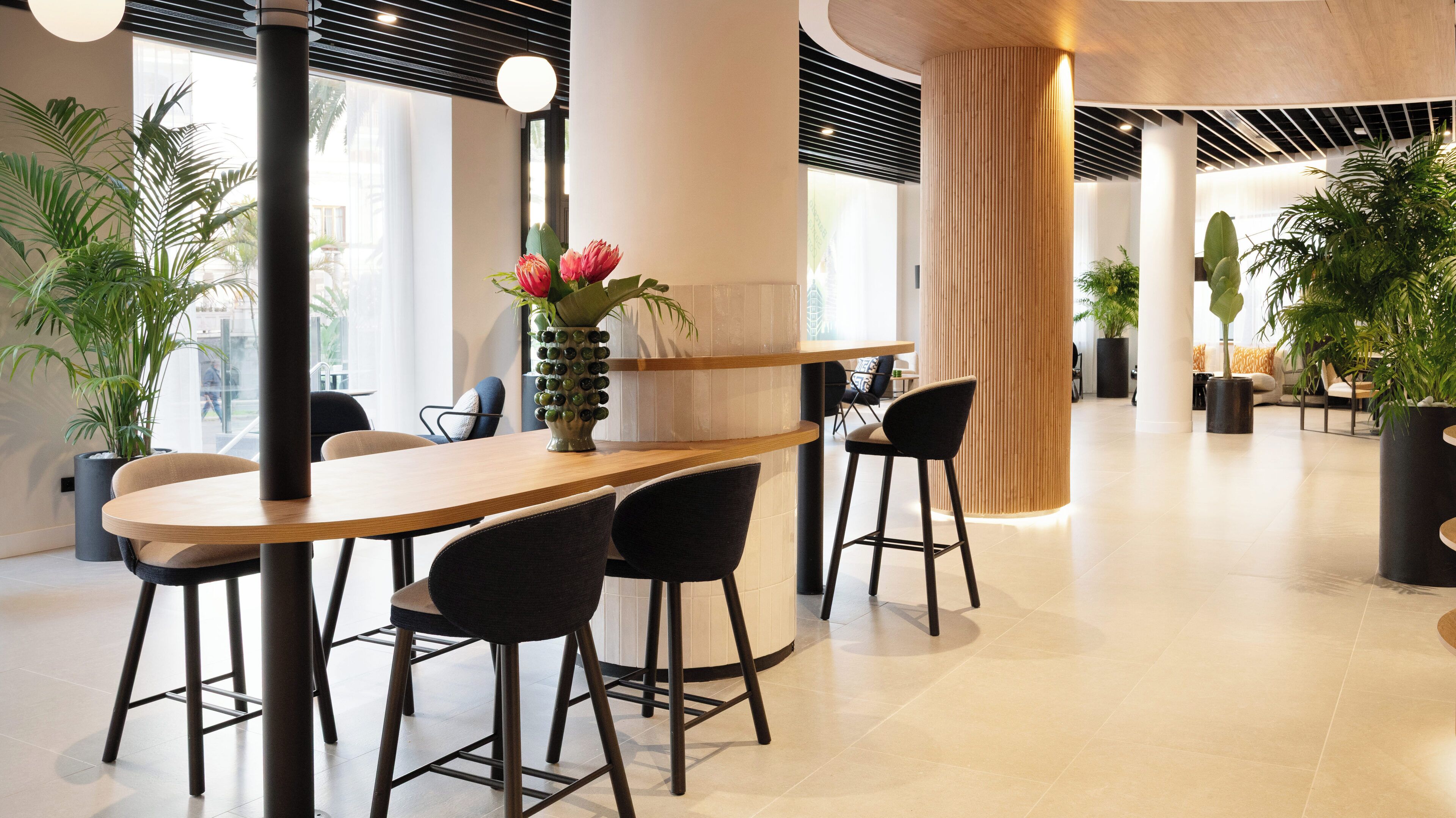 A modern interior with a curved wooden bar, black chairs, and potted plants.