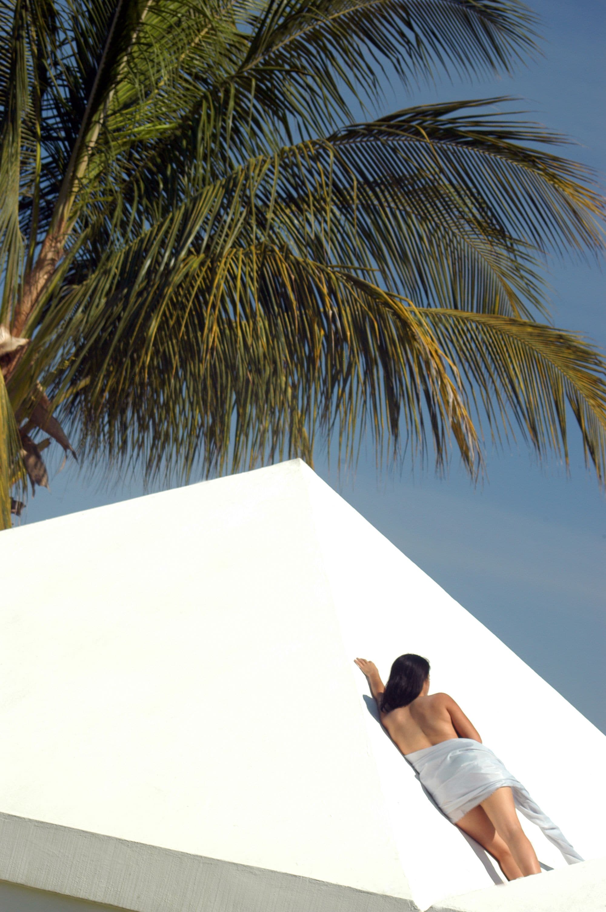A person climbing a white wall with a palm tree in the background.