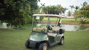 A golf cart parked on a grassy area near a body of water with trees and a building in the background. - El Cid El Moro Beach Hotel (Mazatlán)