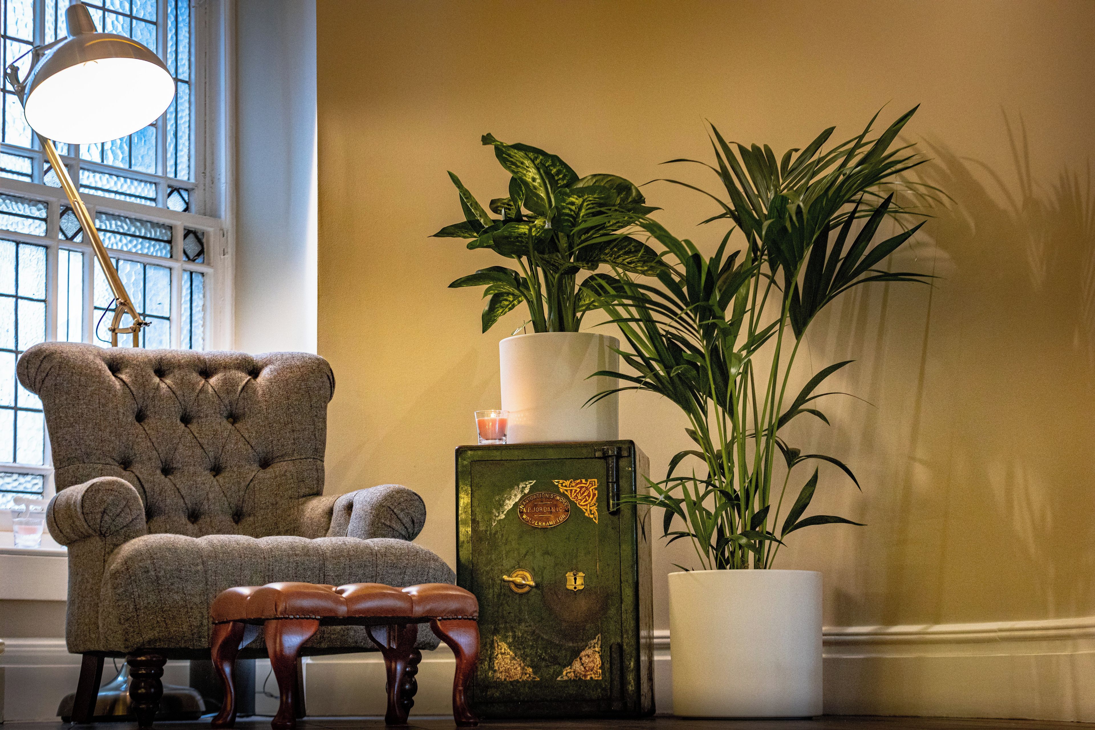 Un fauteuil capitonné, une petite table, une commode verte de style vintage et deux plantes en pot dans une pièce dotée d’une fenêtre et d’une lampe.