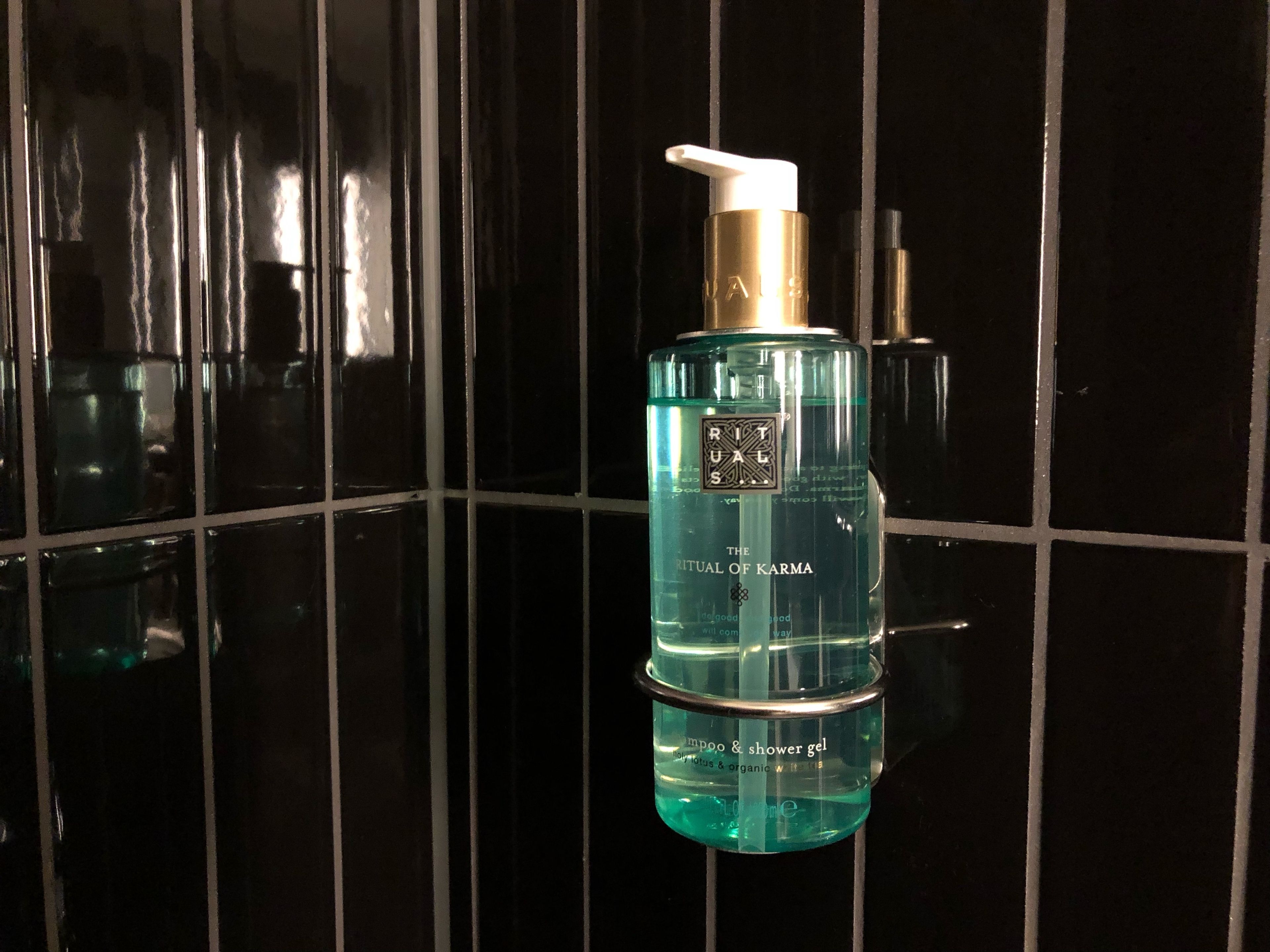 deluxe room, 1 double bed, refrigerator (with sofabed) | bathroom amenities | shower, free toiletries, hair dryer, towels