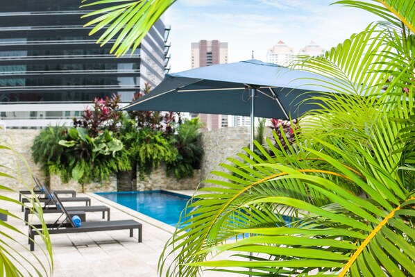 A rooftop pool area with lounge chairs and umbrellas, surrounded by lush greenery and a cityscape in the background. - The Executive Hotel (Panama City)