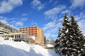 Front of property - Panorama Hotel (Davos)